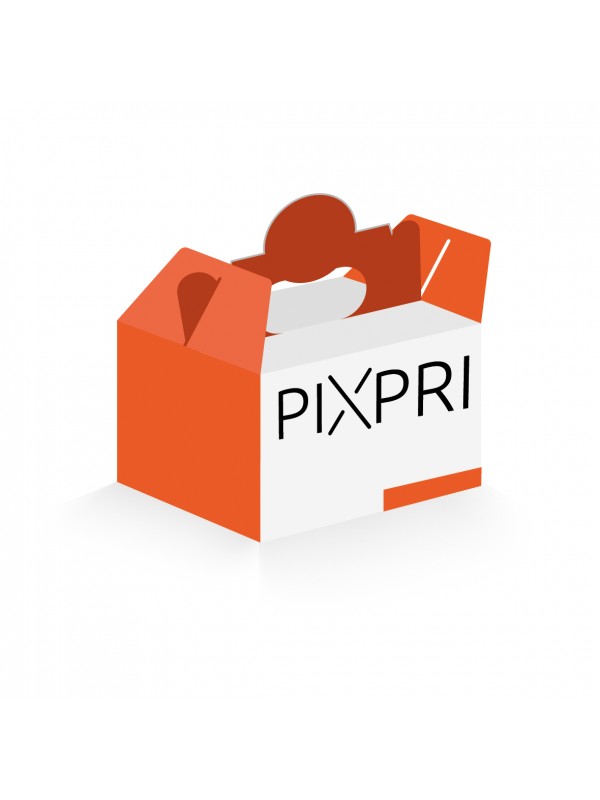 Cestino con manico II